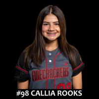 #98 - Rooks, Callia